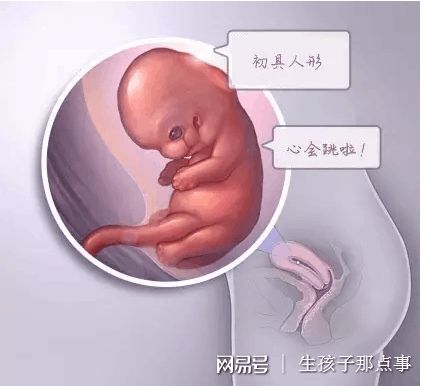42岁二胎